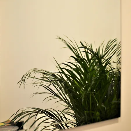 Residenza Madonna 4* Pompeja