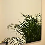 Residenza Madonna 4* Помпеи