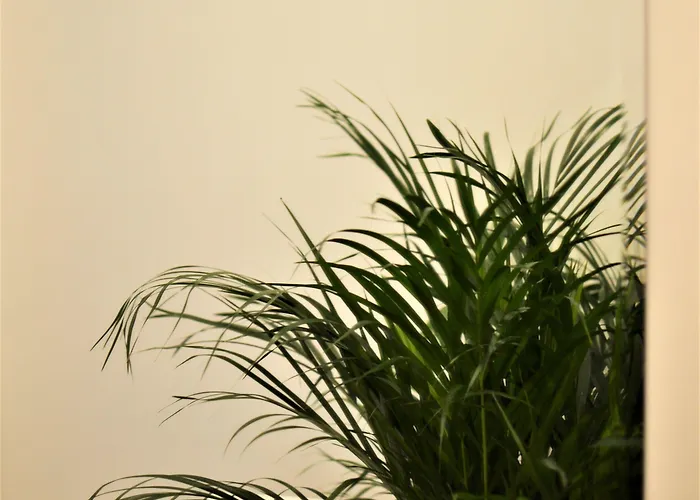 Residenza Madonna 4* Pompéi